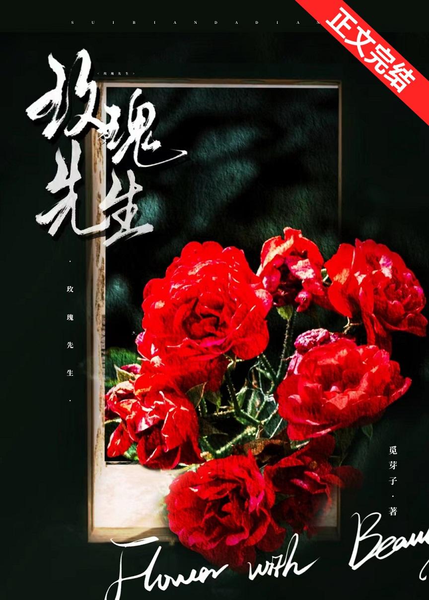 玫瑰先生讲的什么