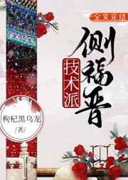 技术派侧福晋by金阿淼