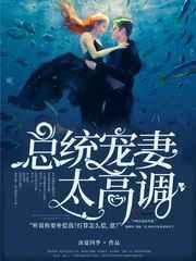 总统宠妻太高调全文免费
