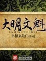 大明文魁免费阅读无弹窗