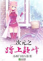 二次元之踏上颠峰作者小西门卖白菜