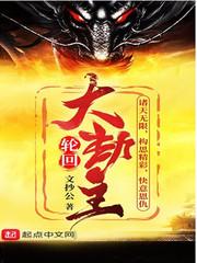 轮回大劫主境界划分