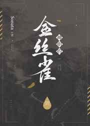 神明的金丝雀晋江