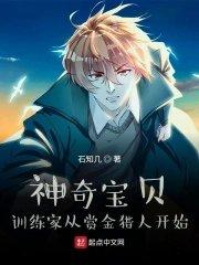 神奇宝贝训练家从赏金猎人开始123