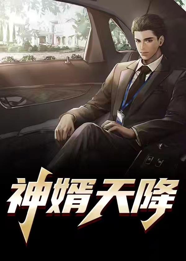 神婿天降无错网