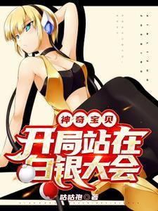 神奇宝贝开局站在白银大会Txt