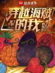 穿越海贼的我对铁块迷之自信 无错