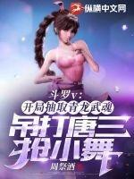 斗罗大陆之开局抽取神级武魂