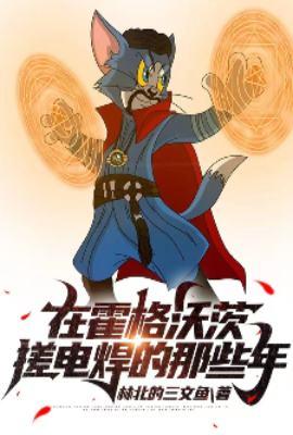 在霍格沃茨搓电焊的那些年TXT