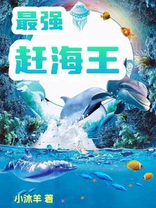 最强赶海王陈浩免费阅读笔趣阁