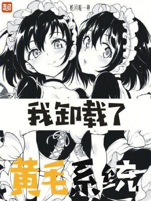 我卸载了黄毛系统起点