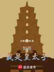 知否我是皇太子有声