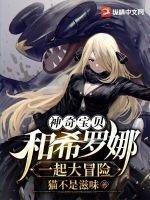 神奇宝贝和希罗娜一起大冒险猫不是