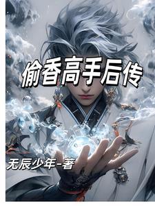 偷香高手后传txt