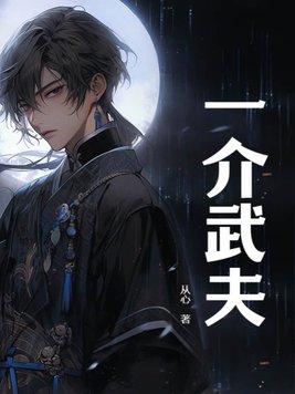 一介武夫的正确解释