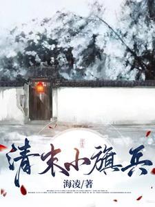 清末小旗兵txt