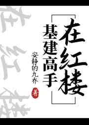 基建高手在红楼笔趣阁