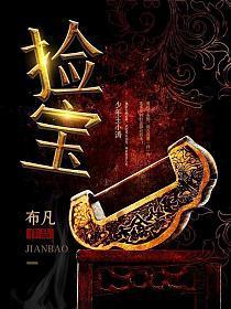 捡宝布凡免费阅读