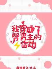 我穿成了劈男主的雷劫何所往