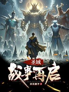 电视剧圣域 电视剧圣域