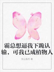 苏珩白姿林可