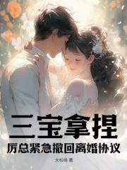 江晚黎厉聿臣历知安