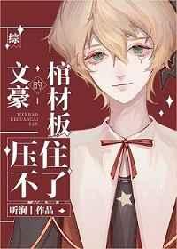 文豪的棺材板压不住了晋江