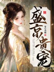 苏婉笙陆臻明