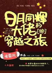 日月同辉完结了吗