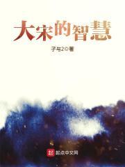 大宋的智慧作者