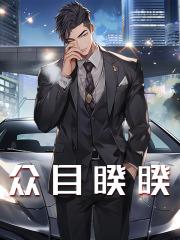 林萧李月瑶书名