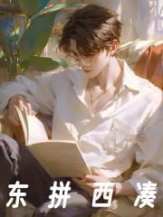 隋意 是哪家公司的