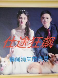 仕途狂飙大结局