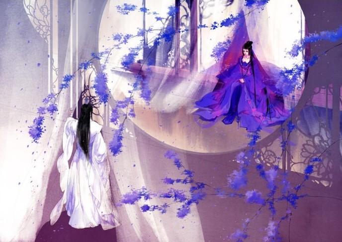 黄黄芩的功效与作用