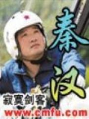秦汉为什么不娶林青霞