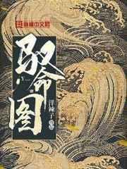 驭命图 洋辣子