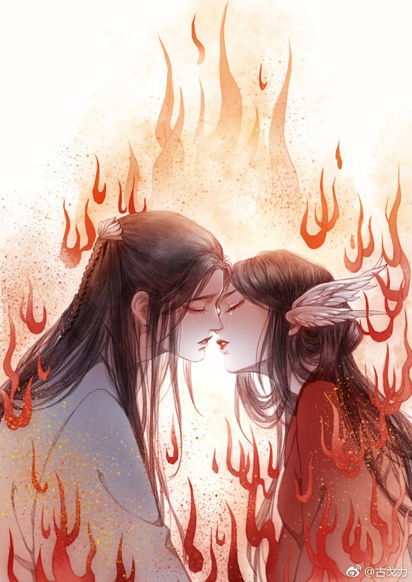 董宛