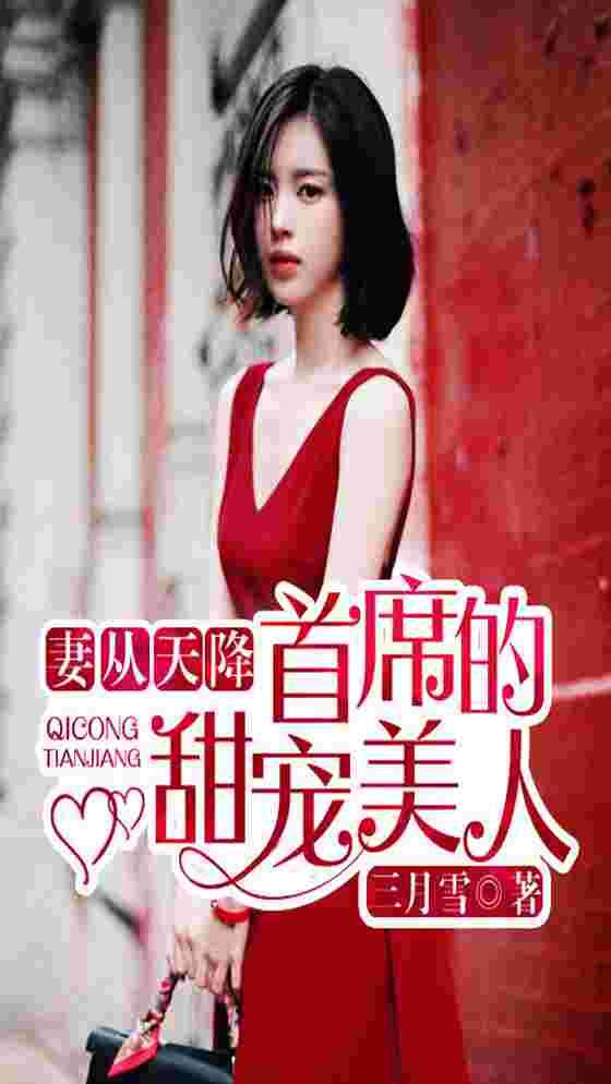 妻从天降夫人不好惹