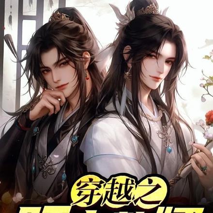 穿越之旺家赘婿讲什么