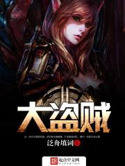 网游之大盗贼TXT全文