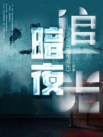 暗夜追光1-40集全集免费