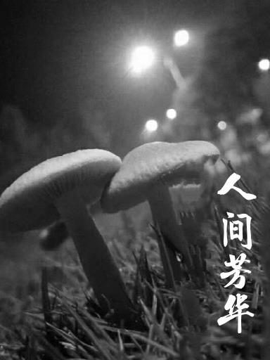 人间芳草什么意思