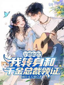 订婚取消我转身和千金女总裁