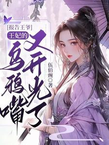 报告王妃王爷又挨打了