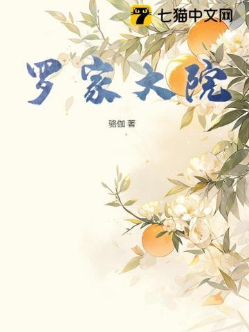 罗家大院子
