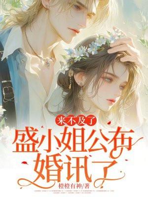 来不及了盛小姐公布婚讯了免费阅读