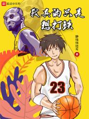 我真的只是想打铁二