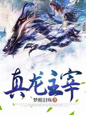 真龙主宰免费全本TXT