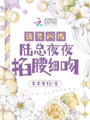 强势宠婚陆实力撩妻