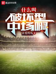 破坏的定义